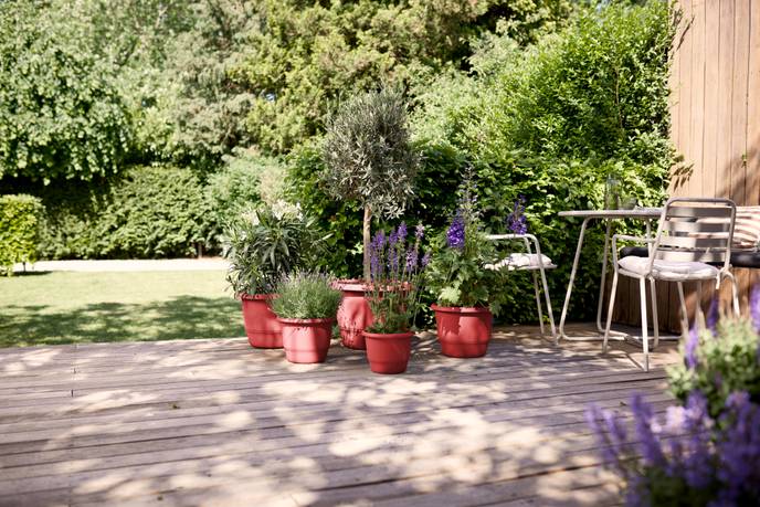 amiga round 30cm theatre red